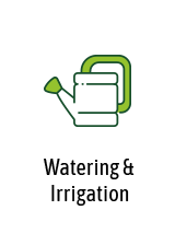watering-irrigation-1.png