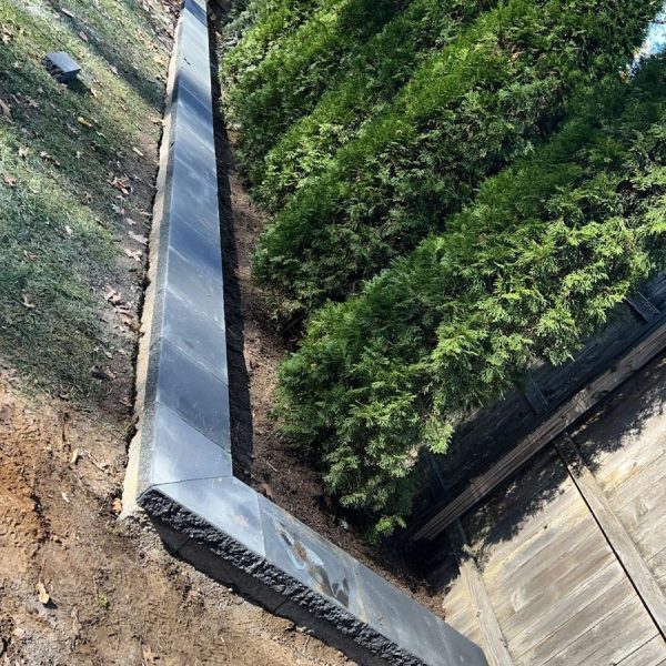 Imagen de WhatsApp 2025-02-10 a las 17.29.08_4bb6d49a