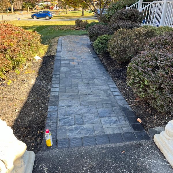 Imagen de WhatsApp 2025-02-10 a las 17.33.40_a983bcb3