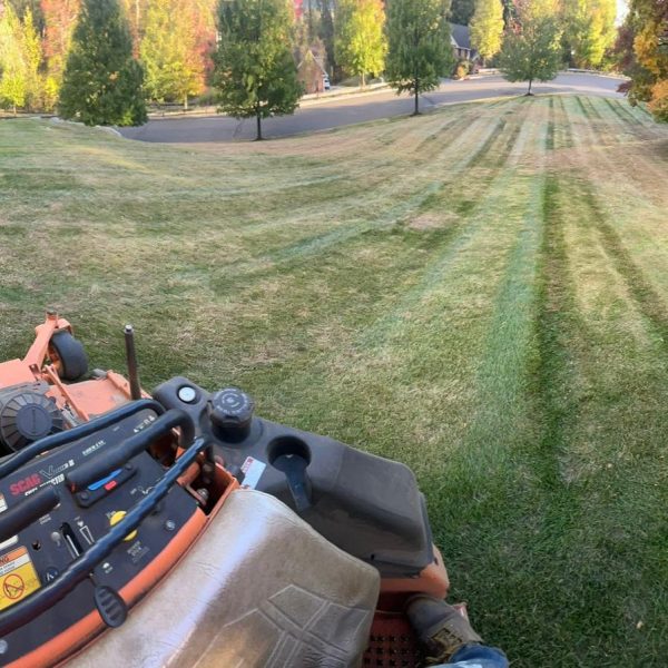 Imagen de WhatsApp 2025-02-10 a las 17.39.40_d91b78f4