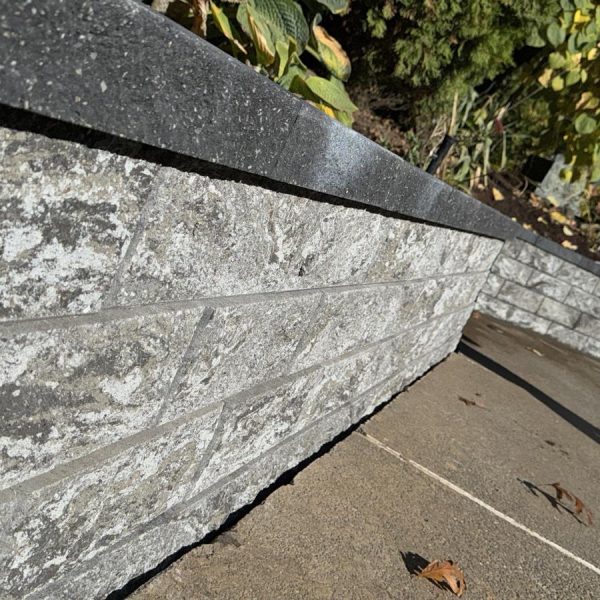 Imagen de WhatsApp 2025-02-10 a las 17.42.29_08dcdc21