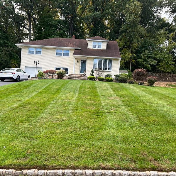 Imagen de WhatsApp 2025-02-10 a las 17.42.46_11cd201d