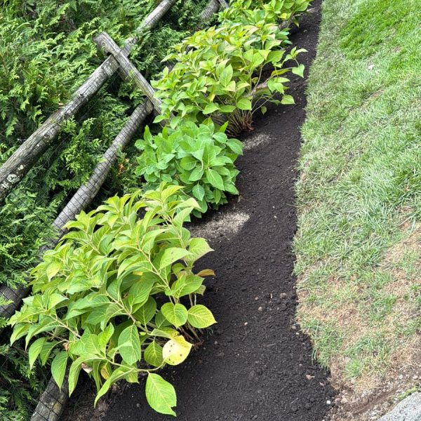 Imagen de WhatsApp 2025-02-10 a las 17.48.19_c59069a3