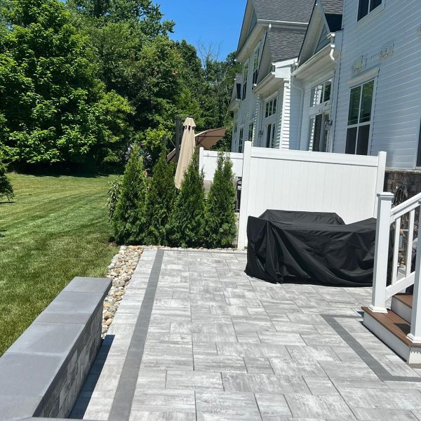 Imagen de WhatsApp 2025-02-10 a las 18.13.47_a9990eb0